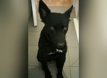 Chuck verliert sein Zuhause