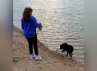 Chuck verliert sein Zuhause