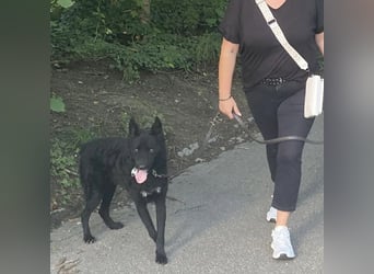 Chuck verliert sein Zuhause