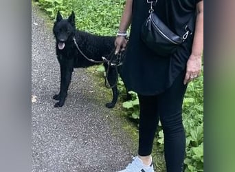 Chuck verliert sein Zuhause