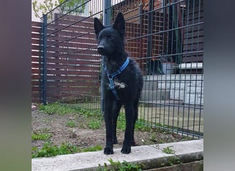 Chuck verliert sein Zuhause