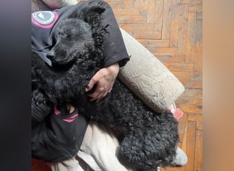 Gara eine wundervolle Freundin fürs Leben