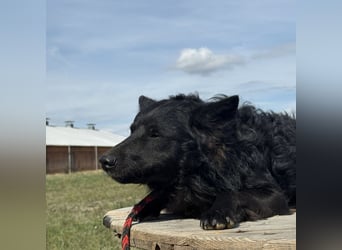 Tego ein Prachtexemplar mit Vergangenheit