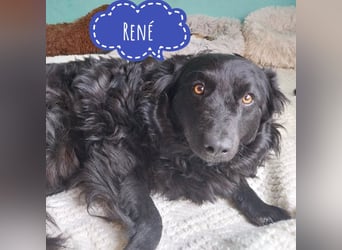 René - sehr ängstlich