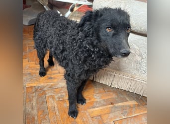 Gara eine wundervolle Freundin fürs Leben