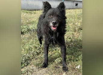 Medo ein besonderer Schatz