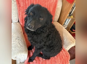 Gara eine wundervolle Freundin fürs Leben