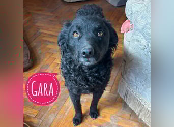 Gara eine wundervolle Freundin fürs Leben