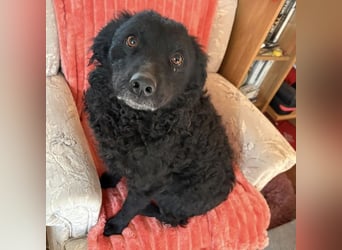 Gara eine wundervolle Freundin fürs Leben