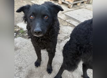 Gara eine wundervolle Freundin fürs Leben