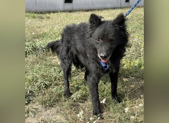 Medo ein besonderer Schatz