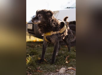 OldBoy ♥Billy♥ Senior sucht Treue & Liebe