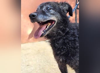 OldBoy ♥Billy♥ Senior sucht verdiente Treue & Liebe - für immer