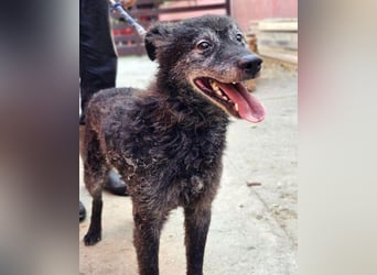 OldBoy ♥Billy♥ Senior sucht Treue & Liebe