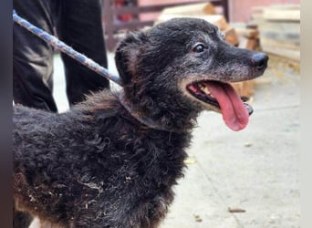 OldBoy ♥Billy♥ Senior sucht verdiente Treue & Liebe - für immer