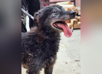 OldBoy ♥ Billy ♥ Senior sucht Treue & Liebe