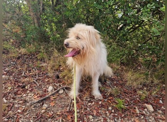 TOSHI auf Pflege in Goch, NRW