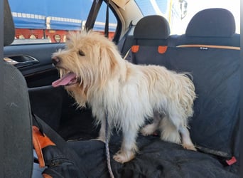 TOSHI auf Pflege in Goch, NRW