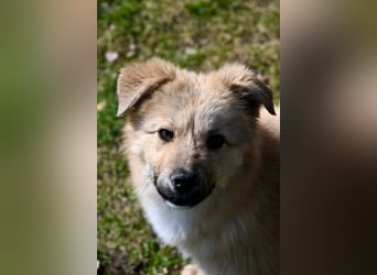 Armando - sooo niedlich