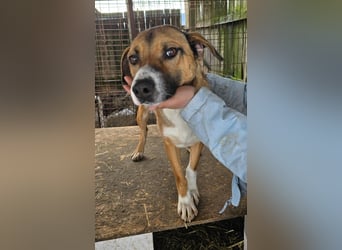 Rusty - superfreundlich