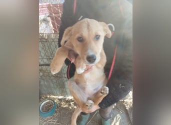 Jessica - zuckersüß