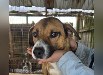 Rusty - superfreundlich