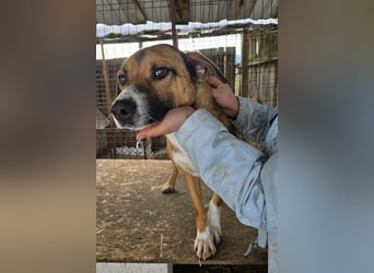 Rusty - superfreundlich