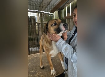 Rusty - superfreundlich