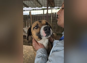 Rusty - superfreundlich