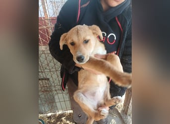 Jessica - zuckersüß