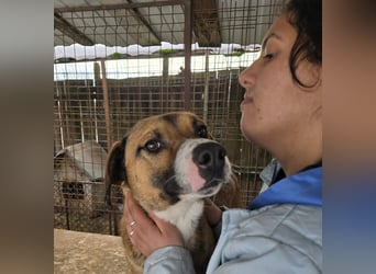 Rusty - superfreundlich