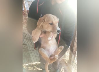 Jessica - zuckersüß