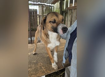 Rusty - superfreundlich