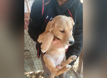 Jessica - zuckersüß