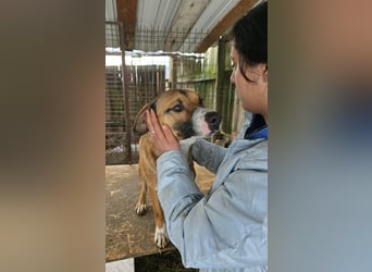 Rusty - superfreundlich