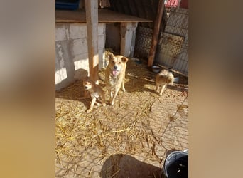 Jessica - zuckersüß