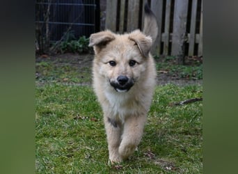 Armando - sooo niedlich