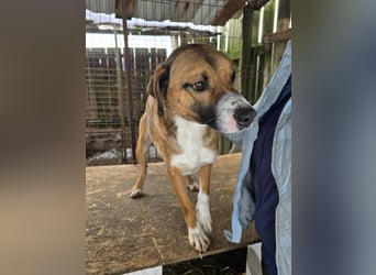 Rusty - superfreundlich