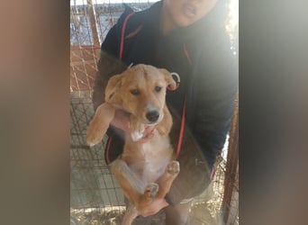 Jessica - zuckersüß