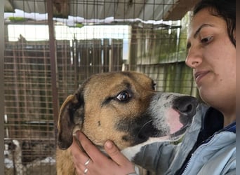 Rusty - superfreundlich