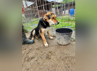 James - wurde abgesagt