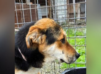 James - wurde abgesagt