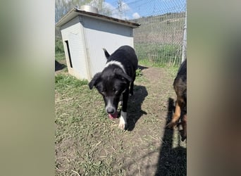 Stephanie - dem Tod entkommen