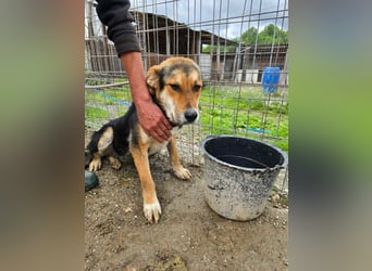 James - wurde abgesagt