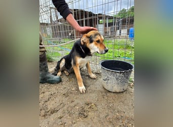 James - wurde abgesagt