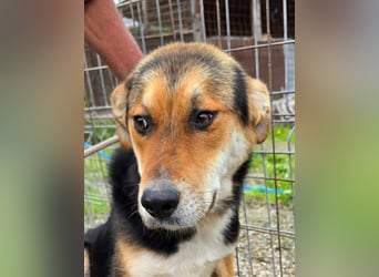 James - wurde abgesagt