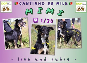 M•I•M•I ♥️ wartet in der Cantinho da Milu ⏳ auf ihr Glück