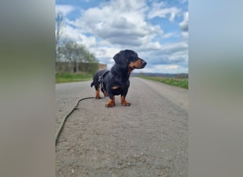 Ilario