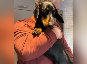 Döme