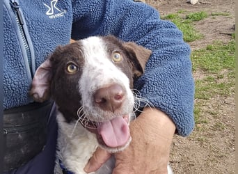 Befanino: er liebt Menschen über alles